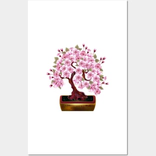 Bonsai Pink Japanese Cherry Posters and Art